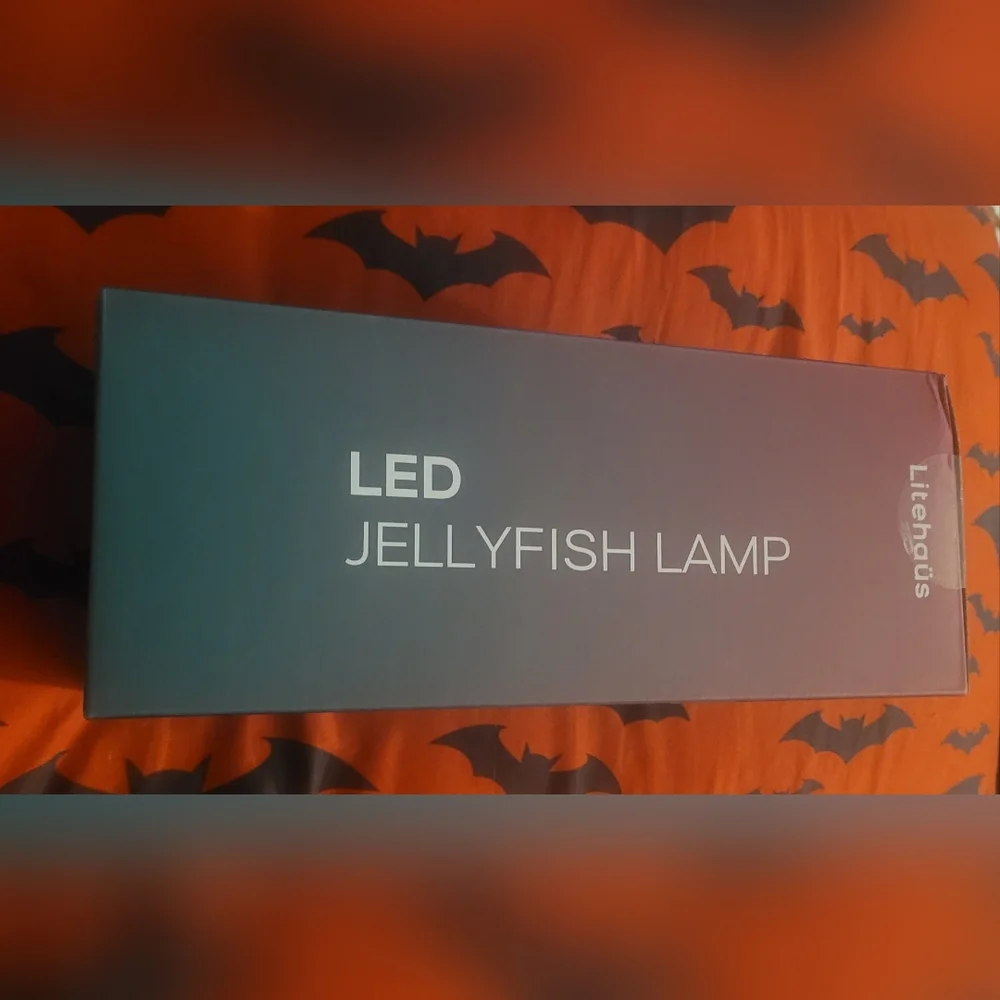 Litehaus illuminate your